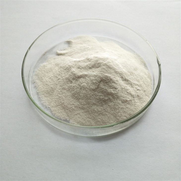 Chondroitin Sulfate Powder factory