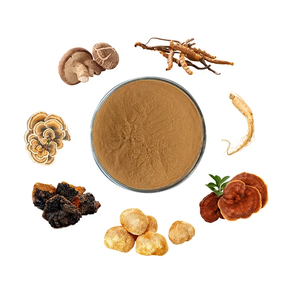 7 in 1 Mix Mushroom Powder