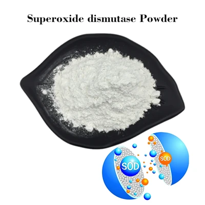 Is superoxide dismutase good or bad for you?