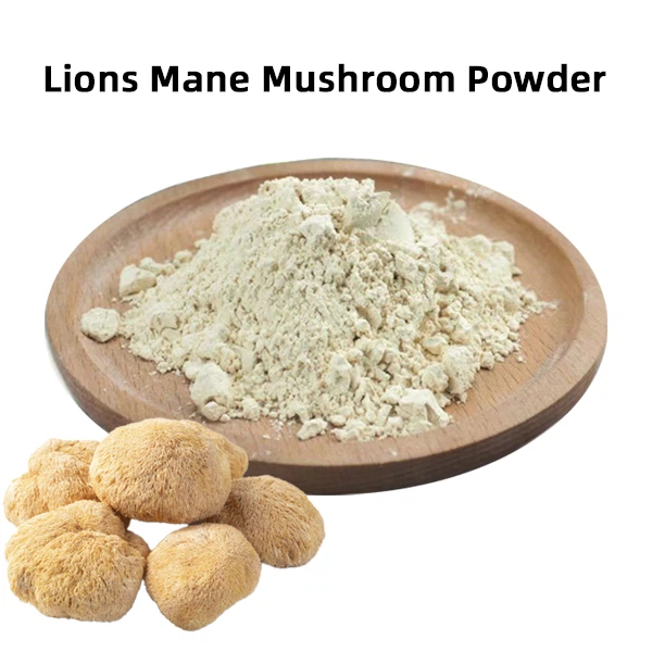 Lion's Mane Mushroom Extract Powder