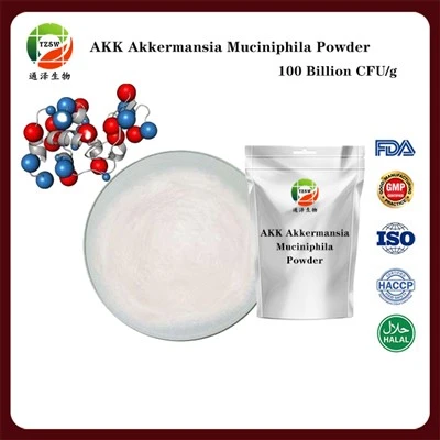 AKK Akkermansia Muciniphila Powder