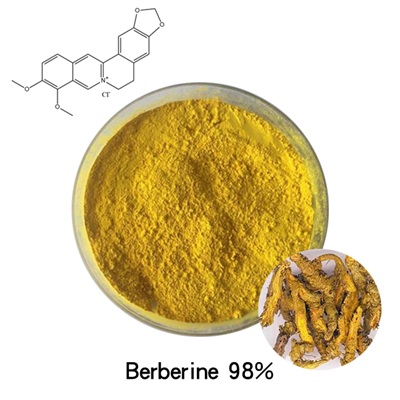 Berberine 98%