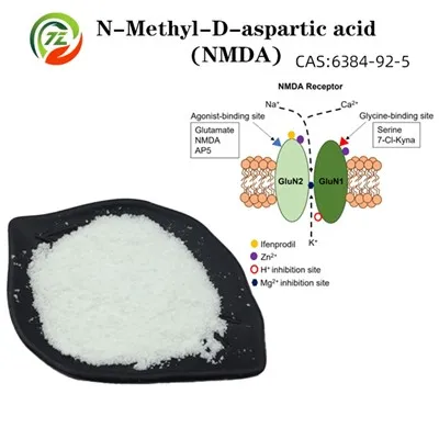 Research N-Methyl-D-aspartic Acid(NMDA)
